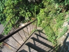 IMG_8676.JPG